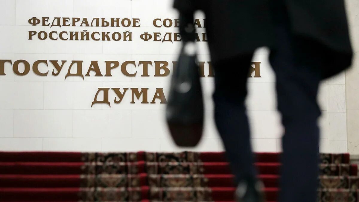 Госдума запретила дарить носки мужчинам. Проект законопроекта. кредитные каникулы госдума. госдума одобрила законопроект. пакет для госдумы.