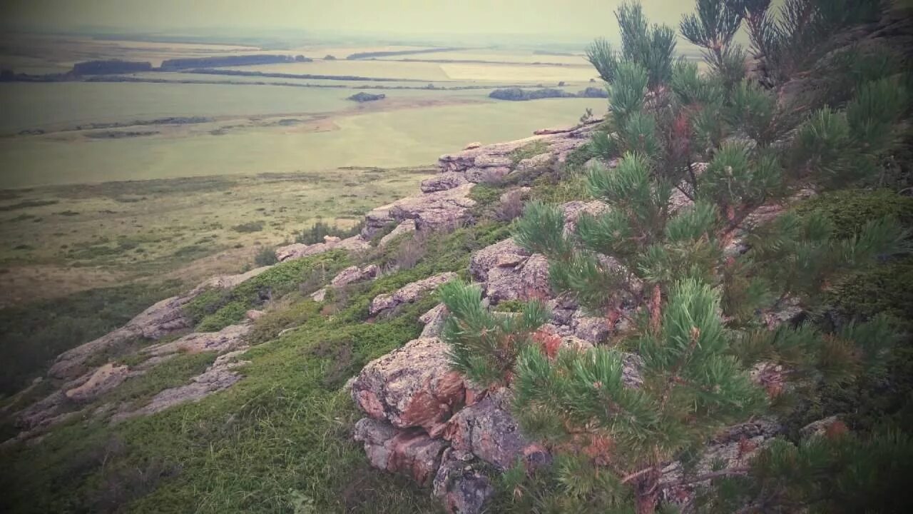 Алтайский край Третьяковский район село Новоалейское. Село Екатерининское Алтайский край Третьяковский район. Третьяково Алтайский край Третьяковский район. Корболиха Третьяковский район Алтайский. Погода в екатерининском третьяковского алтайского края