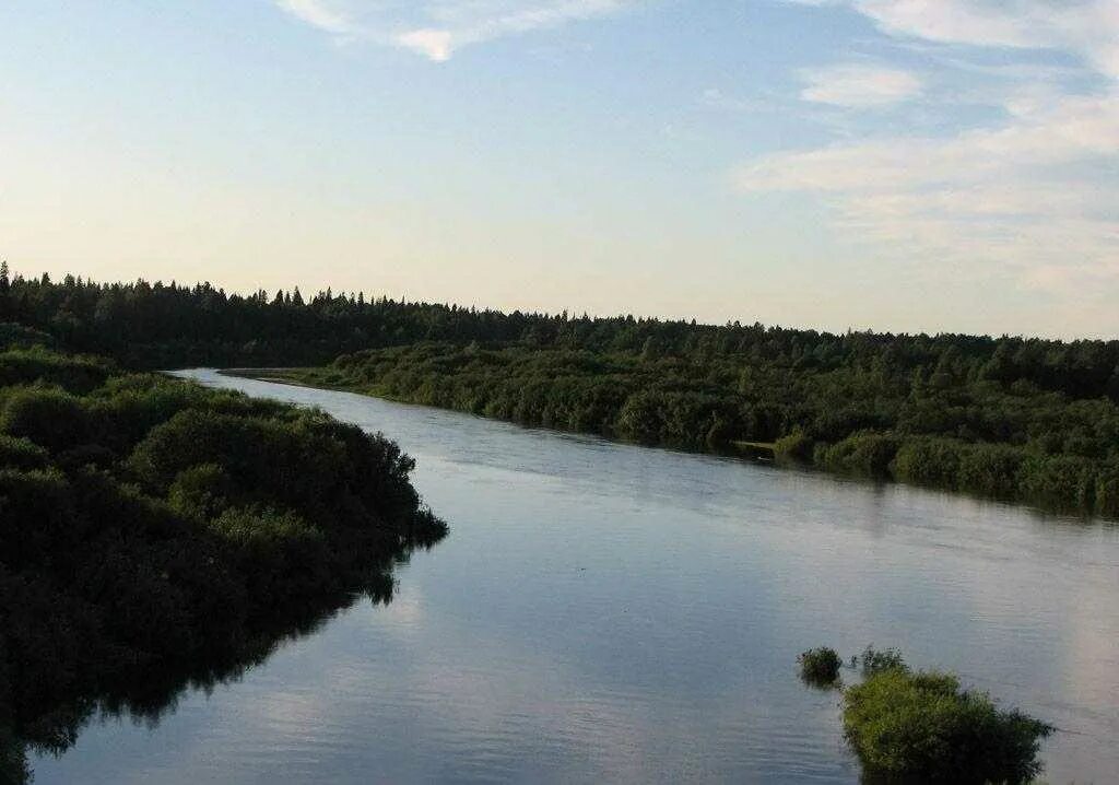 Уровень воды в ветлуге шарья на сегодня. Река Ветлуга Костромская область. Река Ветлуга Шарья. Река Ветлуга Нижегородская область. Река Ветлуга Кировская область.