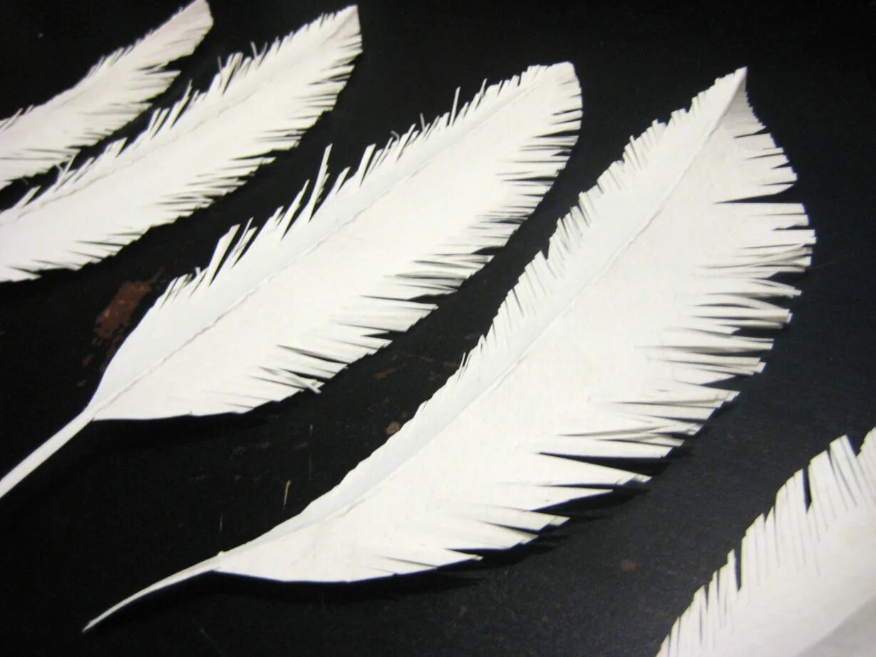 Перо из бумаги. Перо из бумаги. Перо из бумаги. Перья из фоамирана. Перья из ткани.