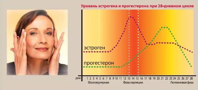 Уровни эстрогена и прогестерона. Дисбаланс эстрогена и прогестерона. Женщина с уровнем. Эстроген по дням цикла у женщин. Эстрогены после 60