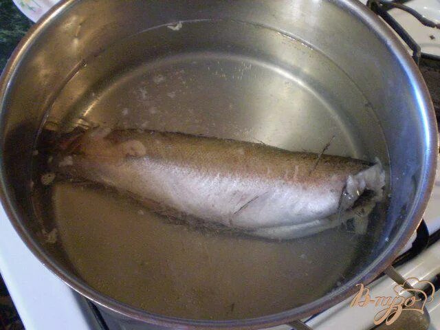 Варка рыбы порционными кусками. Варка рыбы целиком. Рыба в кастрюле с водой. Рыба варится в кастрюле.