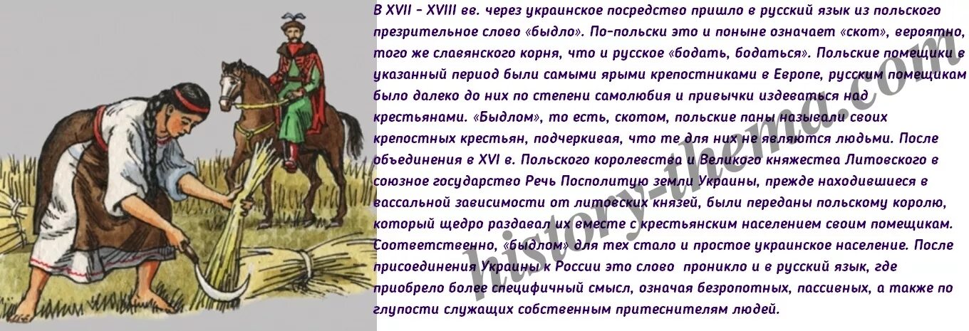 Слово быдло-что означает слово. Украинцы холопы. Прозвища Поляков. Польский Пан и украинский холоп. Значение слова украинец в 13 веке