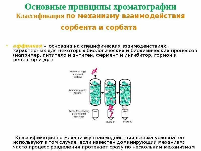 Классификация хроматографии по механизму взаимодействия. Классификация хроматографических методов анализа. Результаты хроматографического анализа. Аффинная хроматография ферментов. Хроматографический анализ масла