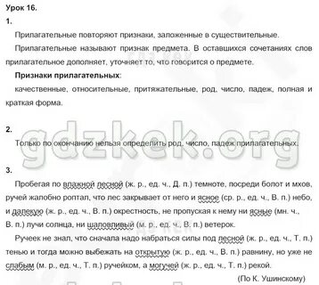 Пробегая по влажной лесной темноте