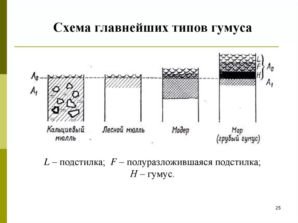 Что такое гумус в географии. Строение гумуса. гумус схема. состав гумуса схема. гумус почвы схема.