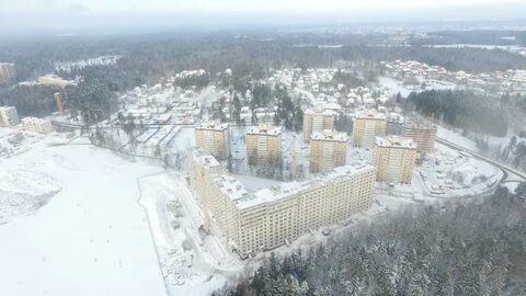 Детская мелодия леса
