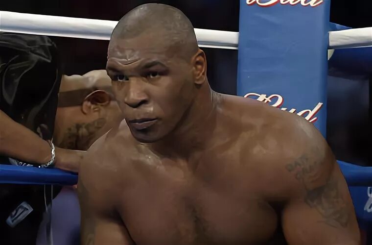 Удар в боксе сканворд 5. Боксёр Francois Botha. Знаменитый боксер Майк. Mike Tyson vs Botta 1999.