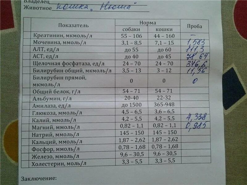 Что такое алт в крови у мужчин. Показатели алт АСТ нормы для детей. Показатель АСТ И алт в крови норма для детей. Алат биохимический анализ крови норма у детей. Алт в биохимическом анализе крови норма у детей.