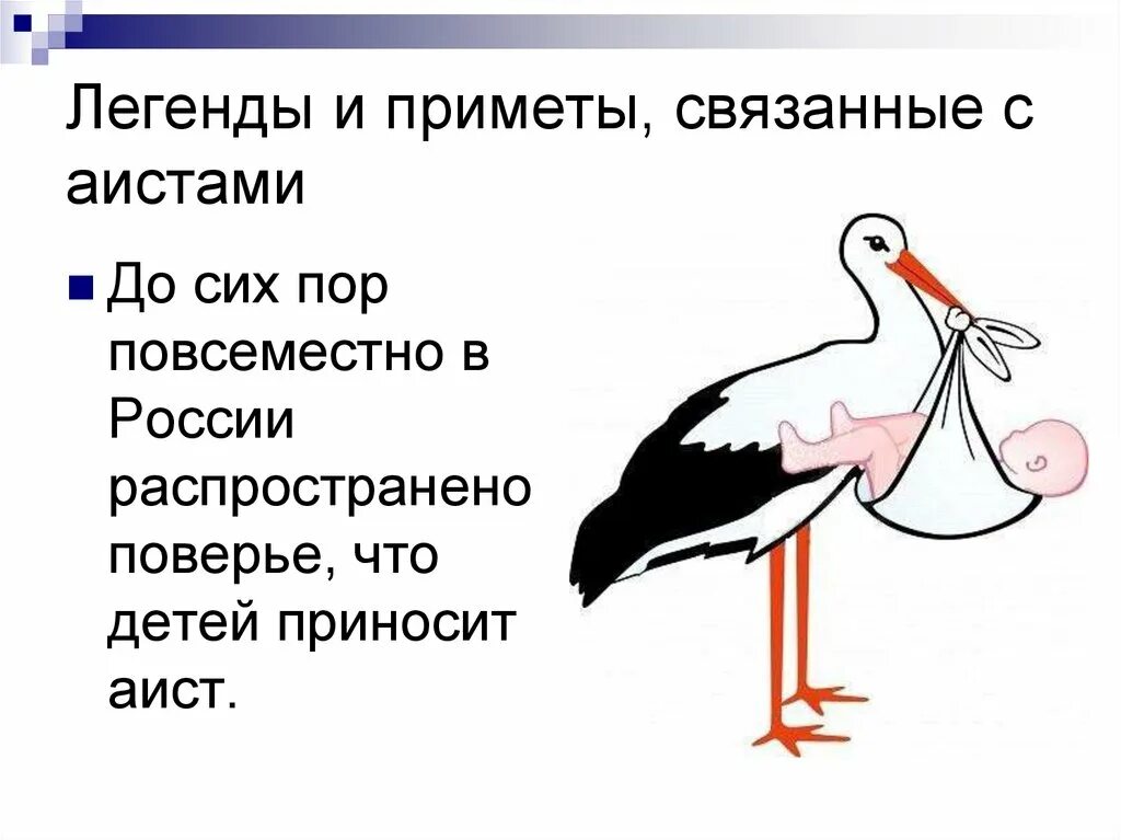 Почему аист. Легенда об аисте. легенды про аистов. приметы с аистами связанные. аисты приносят детей легенда.
