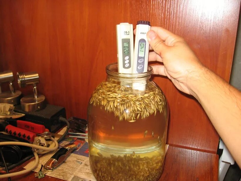 настаивание воды на овсе. вода с отрицательным овп. как сделать отрицательно заряженную воду. овп овес. как сделать отрицательно заряженную воду.