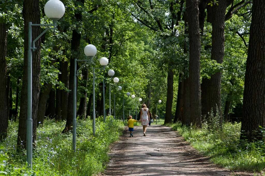 Загородный парк строительство