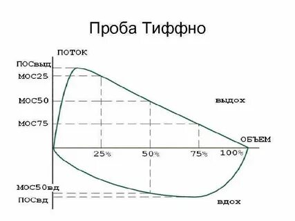 Индекс тиффно