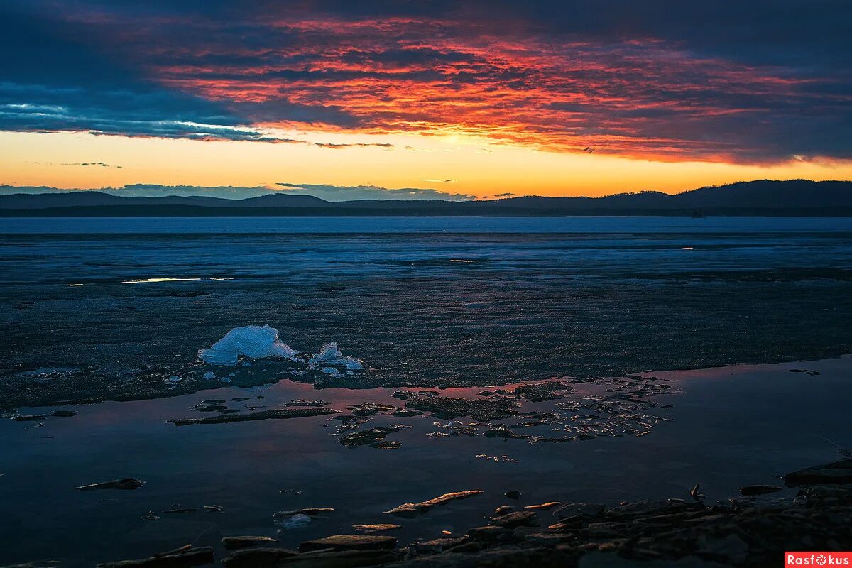 в холодном озере в тени. в холодном озере в тени. бродили сонные лини. ответ на в холодном озере. бродили сонные лини.