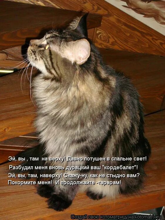 Девочка на крыше. Девушка на дороге. Индийский садху (аскет) амар бхарати. Тропа уильяма валласа. Индийский садху (святой, аскет) амар бхарати.