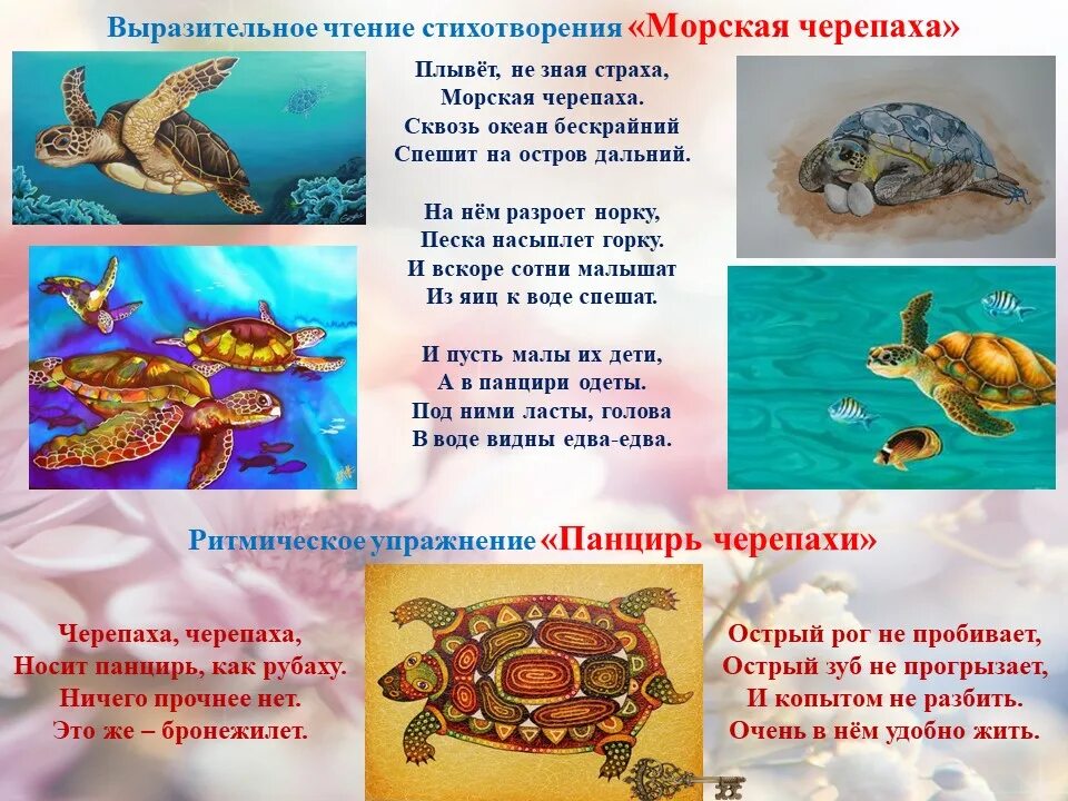 К какой группе относятся морские черепахи. 23 Мая день черепахи праздник Всемирный. Всемирный день черепахи. Всемирный день черепахи 23. С праздником черепахи.