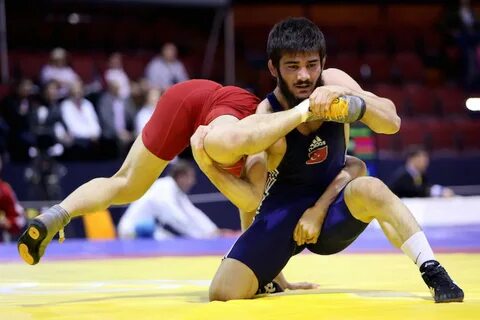 Список чемпионов по вольной борьбе