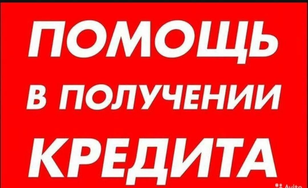 Авито кредит. Статистика авито. Дам кредит авито. Дам кредит авито. Авито избранное.