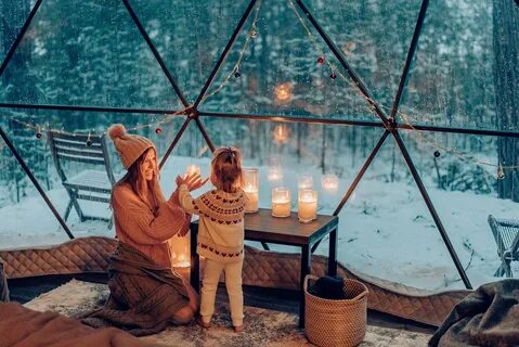 Вили улей тверская область
