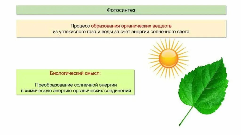 Влияние какого условия на процесс фотосинтеза. Схема фотосинтеза 5 класс. Фотосинтез органические вещества. Процесс фотосинтеза у растений. Фотосинтез 6 класс.