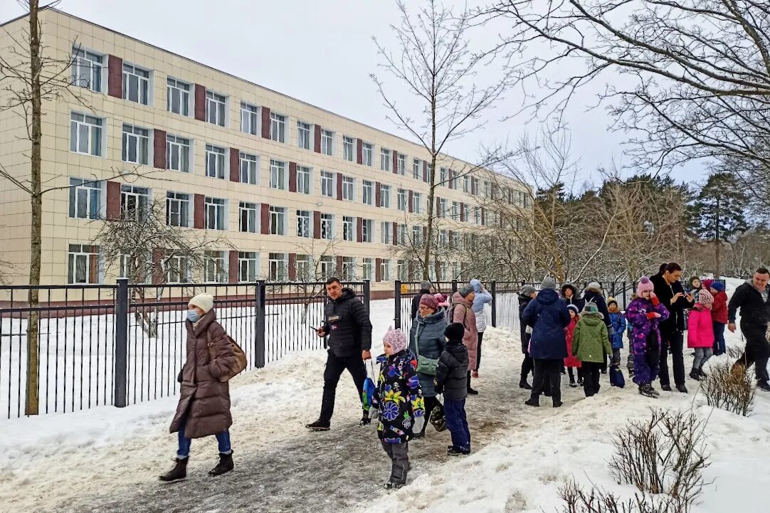 Школа заминирована новости. 3 Школа заминирование школы Сосновый Бор. Минирование школ Сосновый Бор. Эвакуация Сосновый Бор школы. Заминировали школы в ЛО.