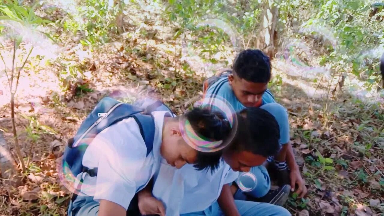 Smp ngentot di hutan. Bokek sma. Anak SD abg.