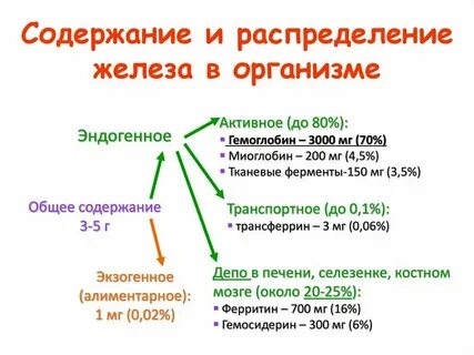 Железо натощак