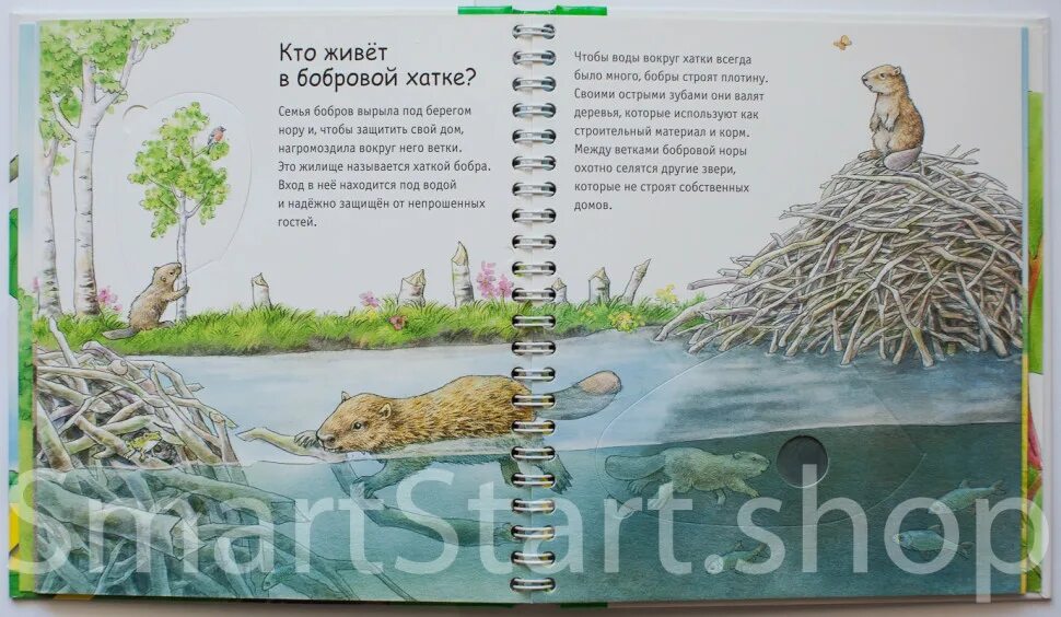 Бобры строят хатки распространенное предложение