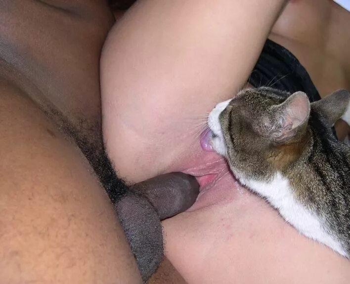 Кошка Вылизывает Пизду Порно