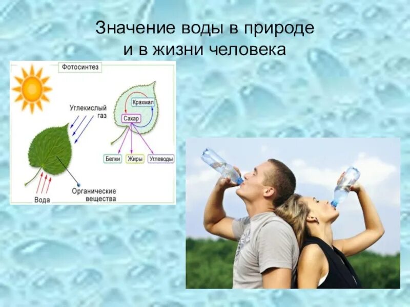 Проект значение воды для жизни Картинки о значении воды 75 фото