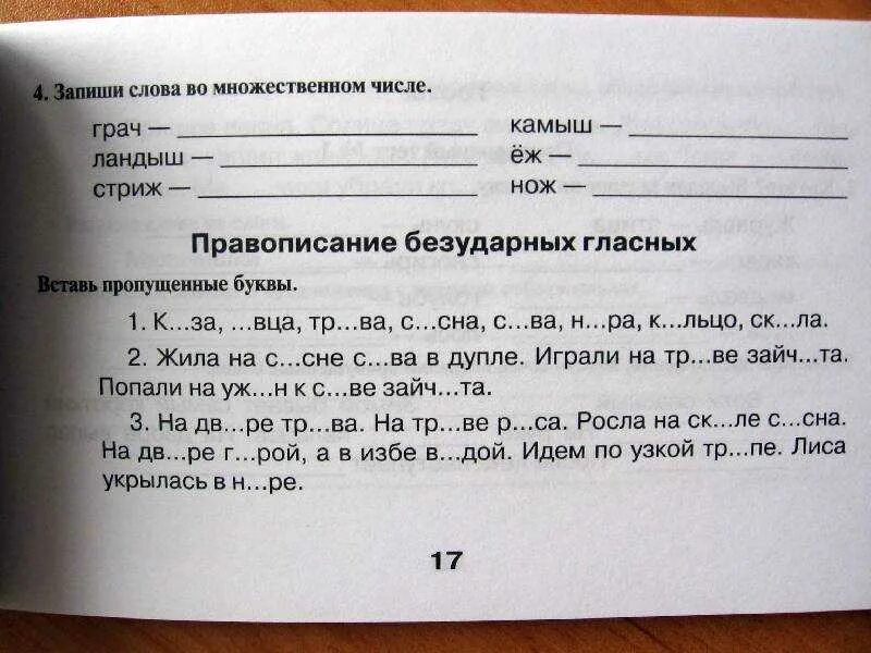 Контрольная по русскому 7 класс 2 четверть. Проверочные 2 класс русский язык 1 четверть школа россии. контрольная по русскому 2 класс 4 четверть школа россии. контрольные задания по русскому языку 1 класс школа россии. контрольные задания по русскому языку 2 класс школа россии.