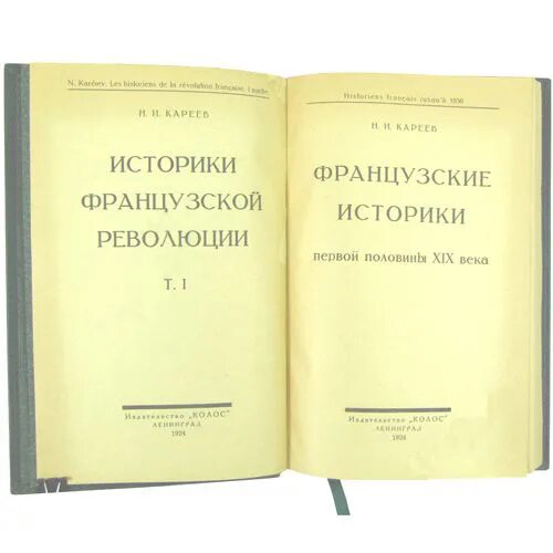 Н и кареев. Н И Кареев достижения.