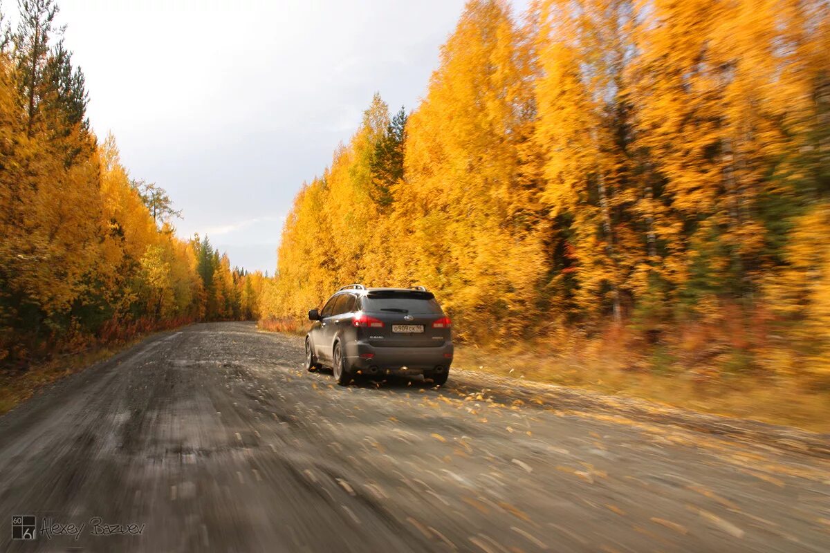 Никакая то была дорога. Осенняя дорога. Машина на Лесной дороге. Автомобиль осенью на дороге. Осень дорога машина.