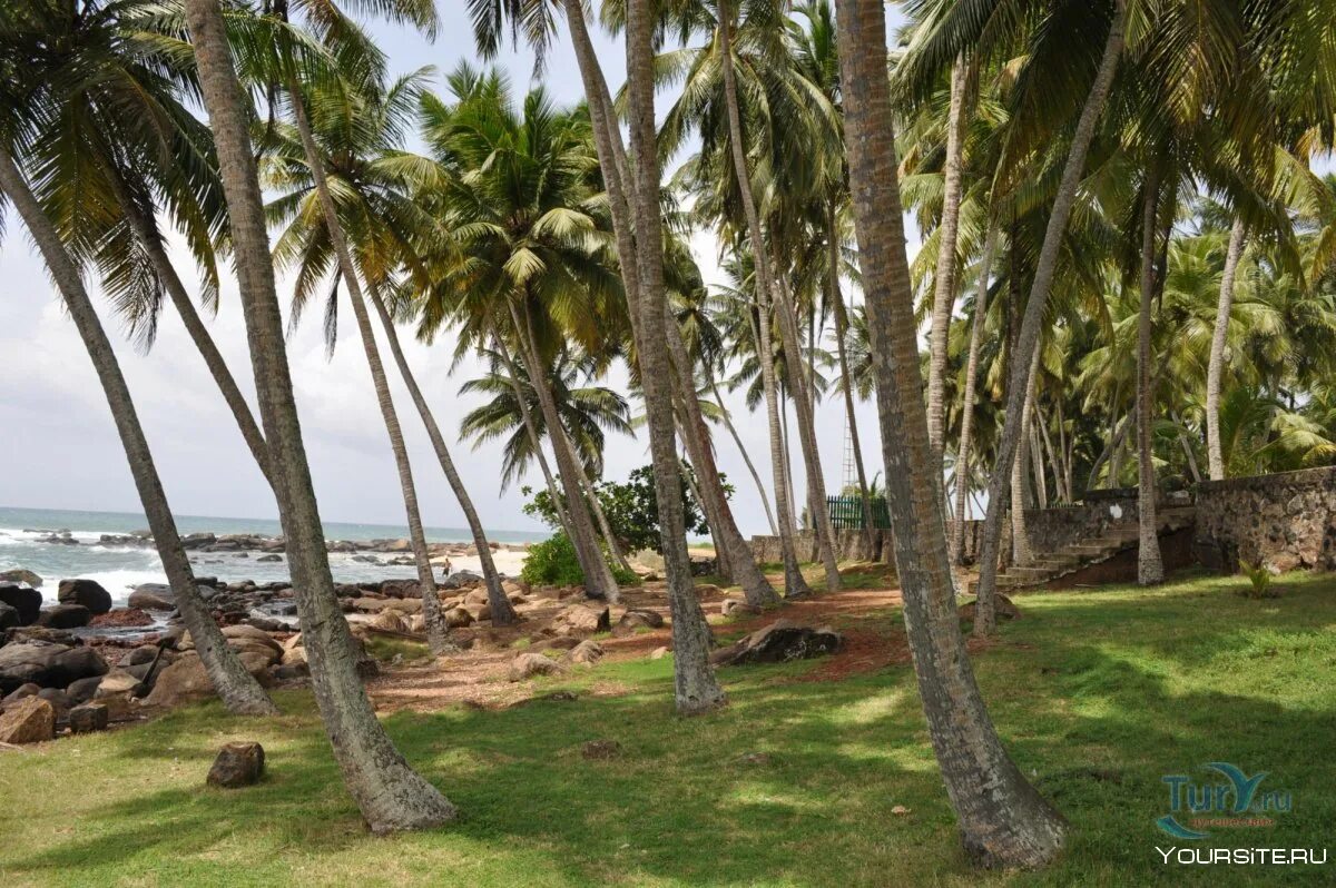 Когалла Шри Ланка. Koggala Beach Шри Ланка. Пляж Коггала Шри Ланка. Лагуна Дондры шриланка.