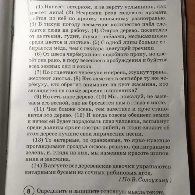 Нанесёт ветерком основная мысль текста?. Основная мысль текста нанесёт ветерком и за версту услышишь. Главная мысль текста о Липе. Определите и запишите основную мысль текста нанесет ветерком. Определите основную мысль текста в небольшом муравейнике