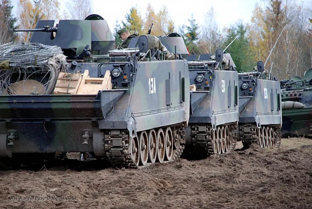 Рота также. Военная техника Литвы. Вооружение Литвы техника. Армия Литвы. Военная мощь Литвы.