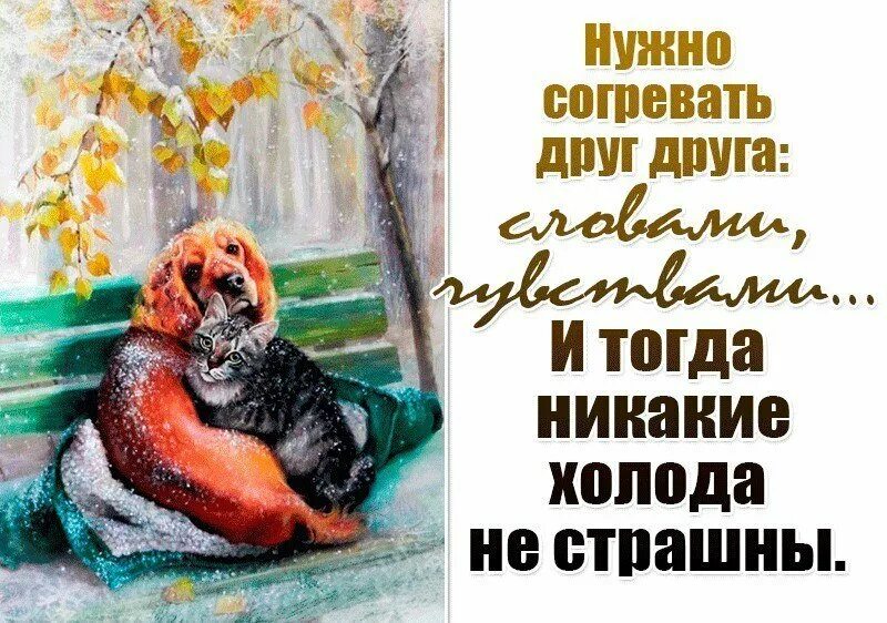Холод открытки. Тепла вам в любую погоду. душевного тепла в зимние холода. согревайте друг друга. душевного тепла в любую погоду.