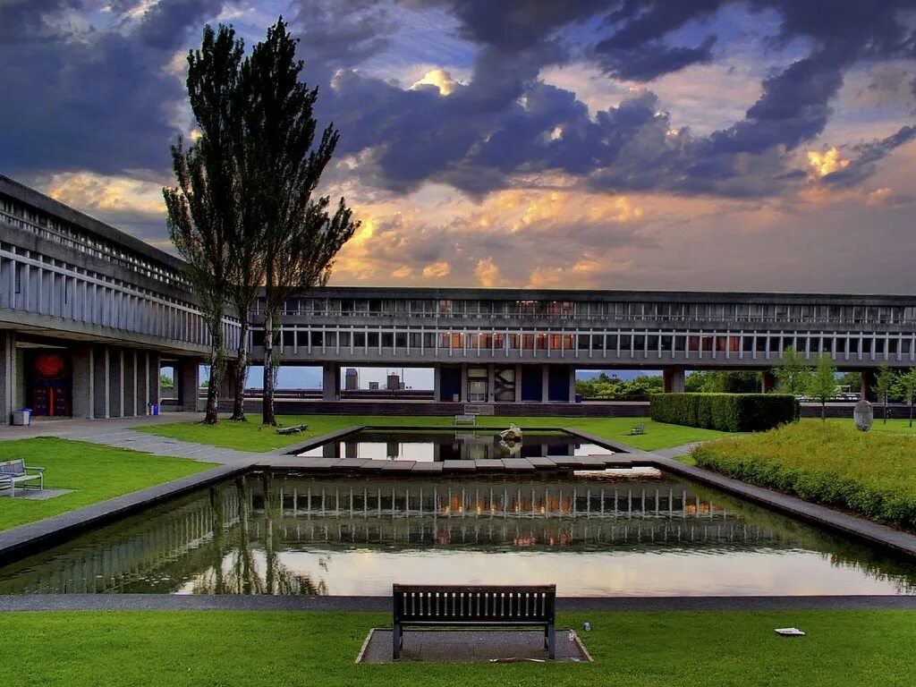Simons university