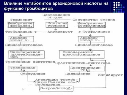 Текстовые формы свертывания информации