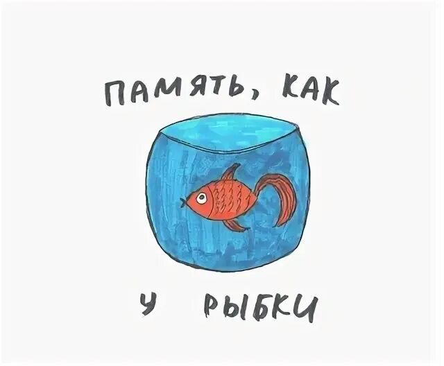 У людей память как у рыбки. Память рыбки. Память рыбки 3 секунды. Ум как у рыбки. Какая память у рыбки.