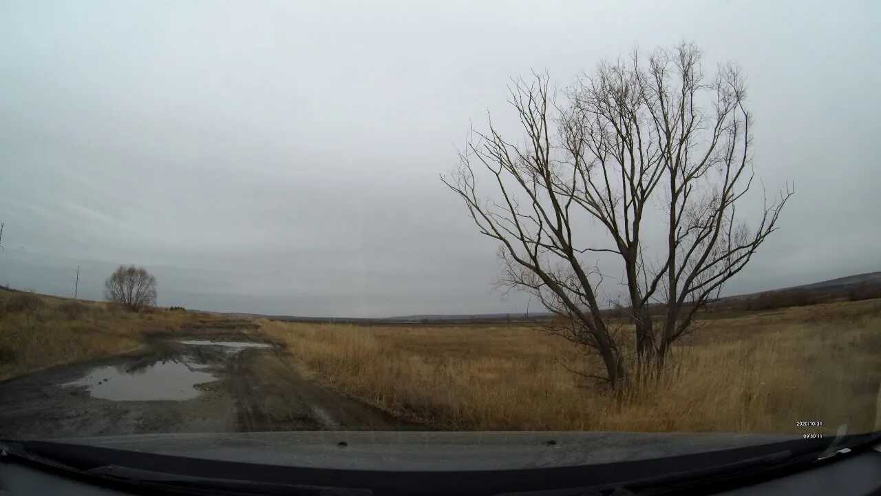 Погода в сосновке саратовский район саратовская область. С. С. С Сосновка Саратовская обл.. Село Сосновка Балтайский район Саратовская область. Саратовский район село Сосновка. Саратовская область Балтайский район село садовка ..