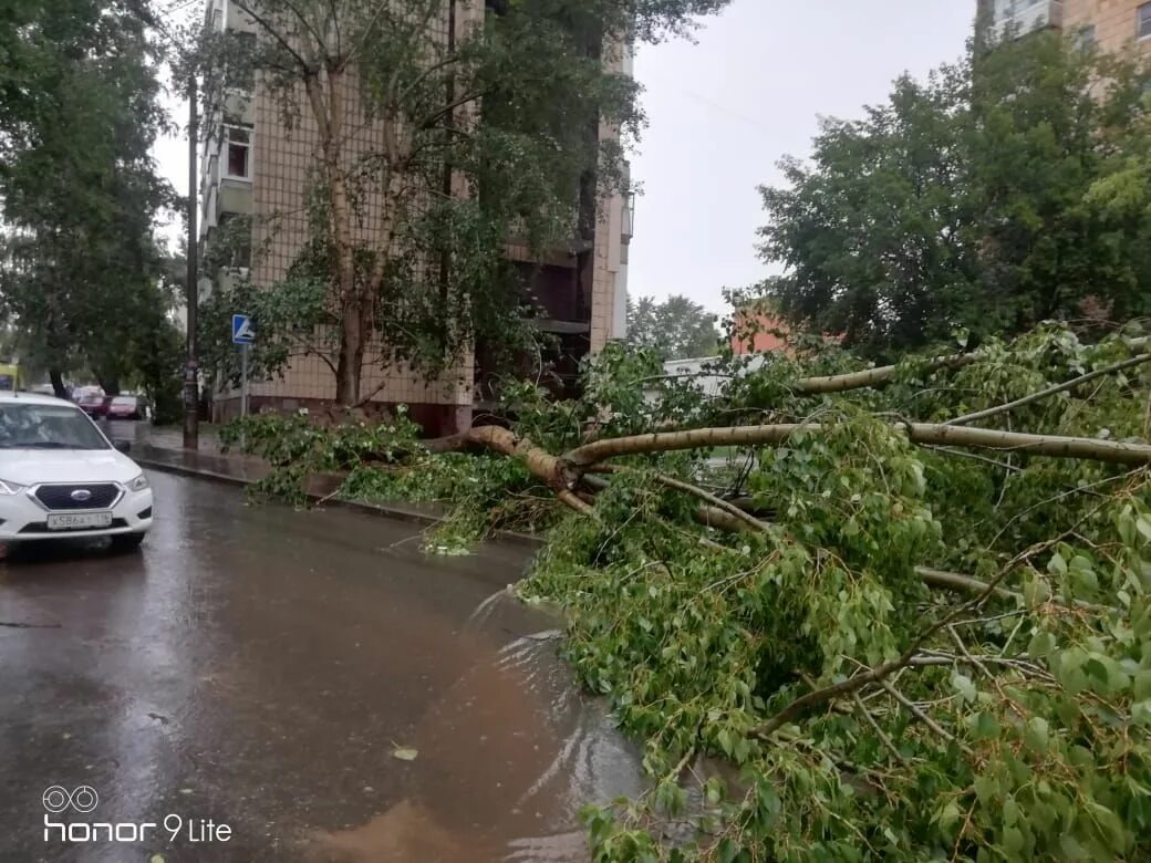 Сильный ветер в Казани. Последствия урагана в Казани. Ливень в Татарстане. Ветер упало дерево