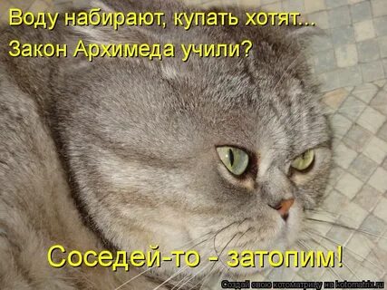 Серьезный просто