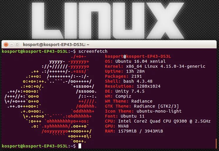 Сведения о системе Linux команда. Команда для вывода информации о системе Linux. Команды терминала Linux. Базовые команды Linux. Команда terminal