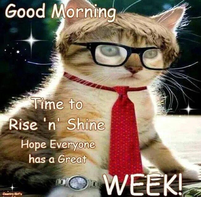 Everybody is having a great time. Good morning have a great week. Have a great week ahead. Good morning everyone. Good morning have a nice week.