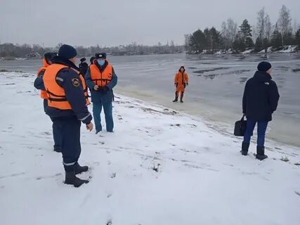 Дисмо кинешма