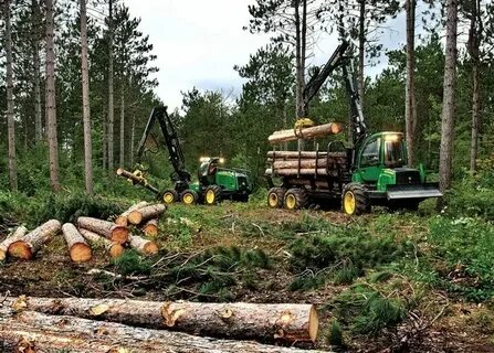 Лесозаготовка районы