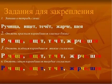Л с ч что это