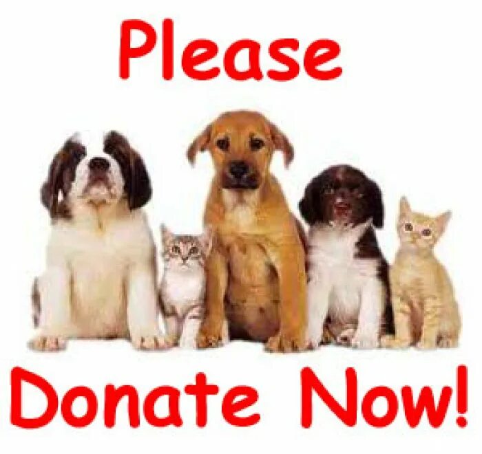 Donate animals