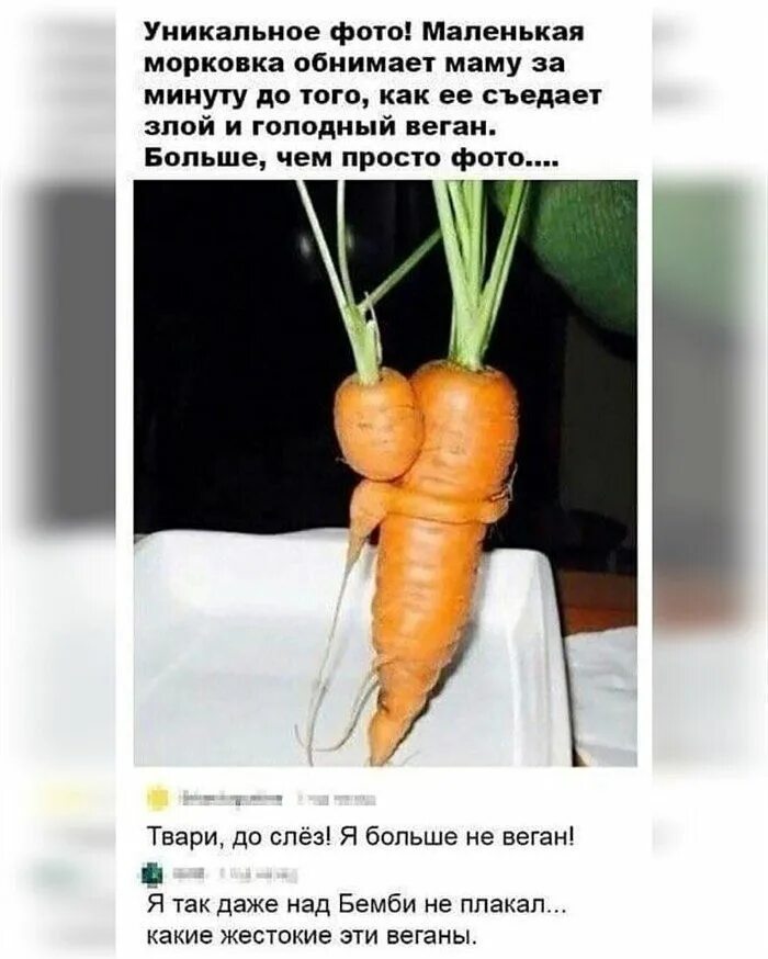 Ее съели текст. Прикольная морковка. Морковка прикол. Морковь юмор. Шутки про морковку.